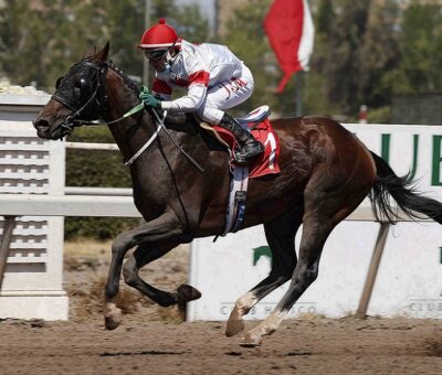 Trae Alegría, horse, Lookin At Lucky, Clásico Porfido, lunes, 14 de febrero de 2022, Club Hípico de Santiago. Foto: Jaime Cortés