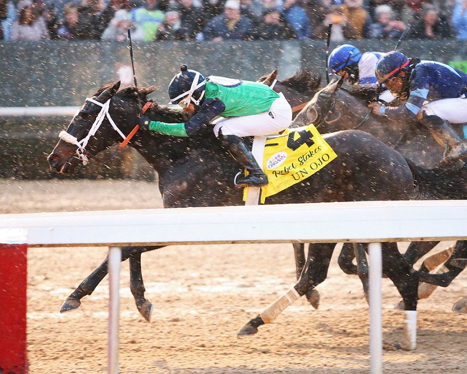 Un Ojo, horse, Laoban, Rebel Stakes, sábado, 26 de febrero de 2022, Oaklawn Park. Foto: Coady Photo