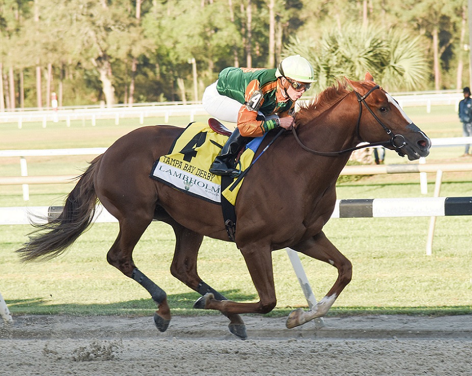 Classic Causeway, horse, Giant´s Causeway, Tampa Bay Derby, sábado, 12 de marzo de 2022 Tampa Bay Downs Foto: SV Photography