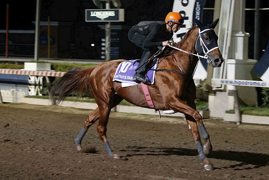 Atlético El Culano, horse, Haras Bage Do Sul, trabajos, martes, 29 de marzo de 2022, Hipódromo de Chile. Foto: Jaime Cortés
