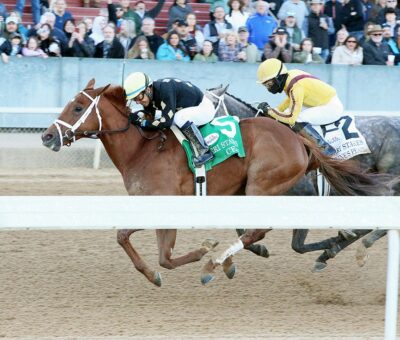 Ce Ce, horse, Elusive Quality, Azeri Stakes, sábado, 12 de marzo de 2022, Oaklawn Park. Foto: Coady Photo