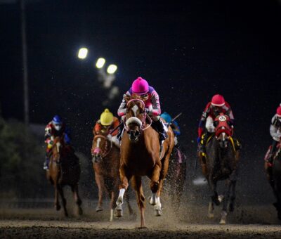 Dilek, horse, Jersey Town, Clásico Debutantes, viernes, 6 de noviembre de 2020, Hipódromo de Las Américas. Foto: Miguel Ángel Espinoza