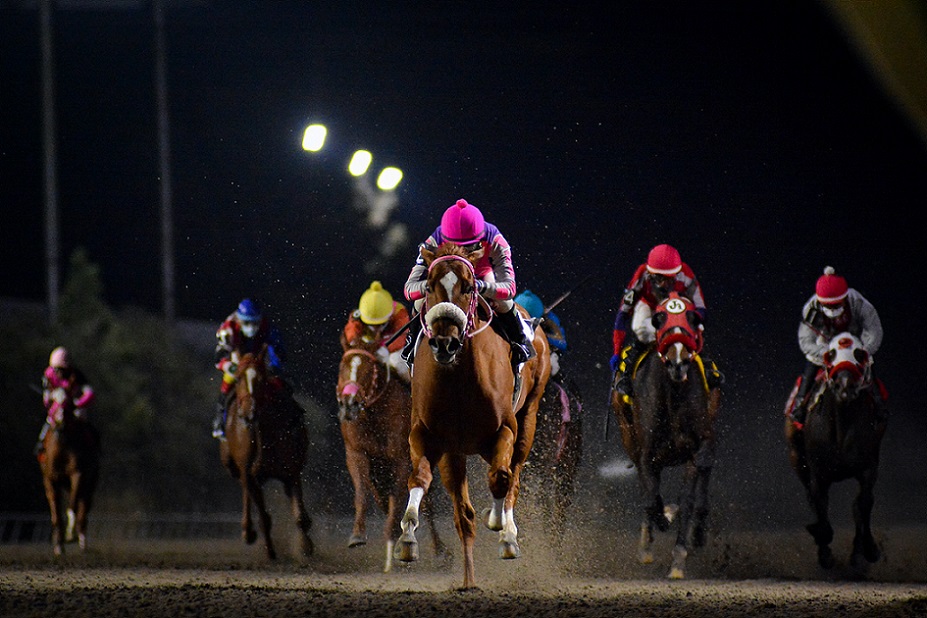 Dilek, horse, Jersey Town, Clásico Debutantes, viernes, 6 de noviembre de 2020, Hipódromo de Las Américas. Foto: Miguel Ángel Espinoza