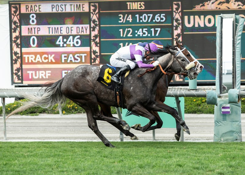 Eddie´s New Dream, Horses, Square Eddie, Irish O´Brien Stakes, sábado, 19 de marzo de 2022, Santa Anita Park. Foto: Benoit Photo