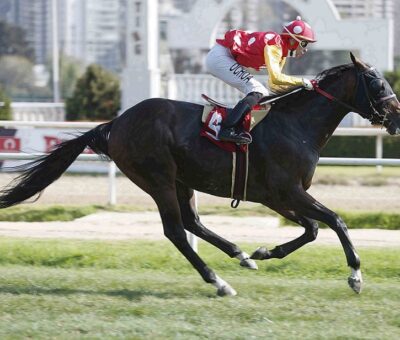 El Expreso, horse, Tumblebrutus, Clásico Municipal de Viña Del Mar, 16 de marzo de 2022, Valparaíso Sporting Club. Foto: Jaime Cortés
