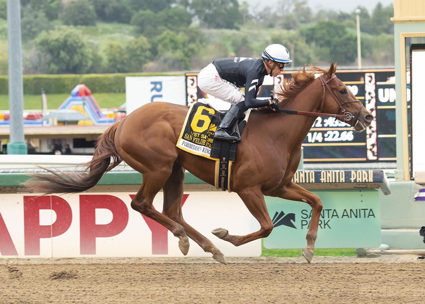 Forbidden Kingdom, horse, American Pharoah, San Felipe Stakes, sábado, 5 de marzo de 2022, Santa Anita Park. Foto: Benoit Photo