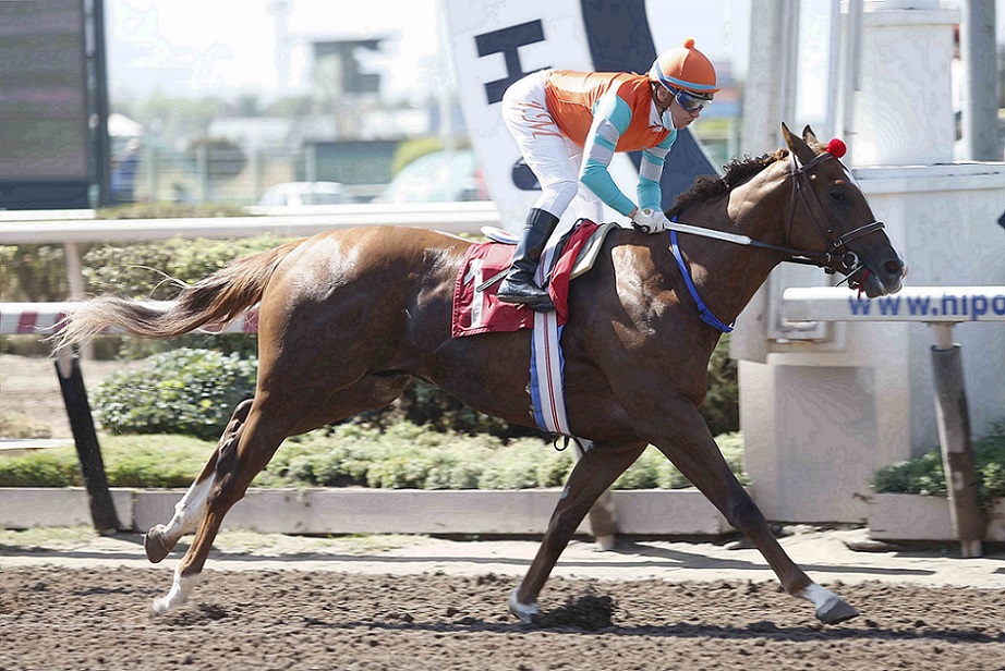 Fortino, horses, Midshipman, Clásico Selección de Potrillos, sábado, 12 de marzo de 2022, Hipódromo Chile. Foto: Jaime Cortés