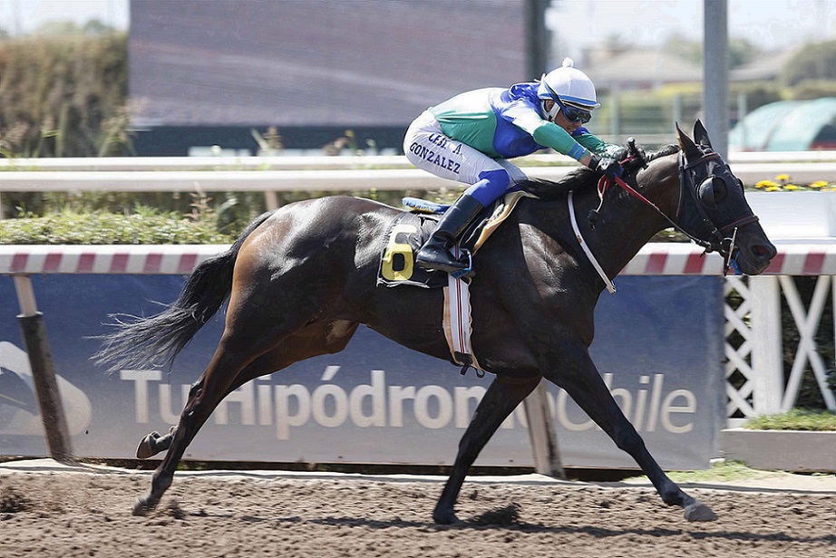 Galicada Streaps, Horses, Stud Matriarca, Clásico Sociedad Hípica Luis Cousiño, jueves, 3 de marzo de 2022, Hipódromo Chile. Foto: Jaime Cortés
