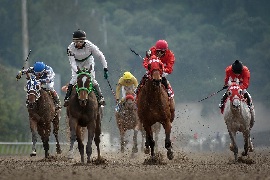 Ice Ice Baby, horse, Zeewat, Clásico Vivian Récord, sábado, 2 de octubre de 2021, Hipódromo de Las Américas. Foto: Miguel Ángel Espinoza