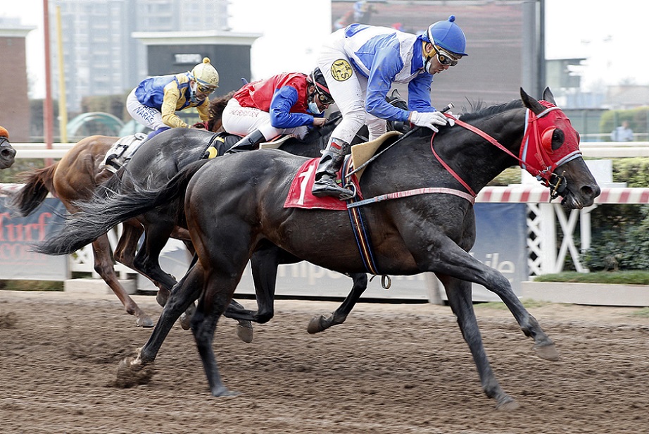 Keltoi, horse, Shanghai Bobby, Clásico Fuerza Aérea de Chile, jueves, 17 de marzo de 2022, Hipódromo de Chile. Foto: Jaime Cortés