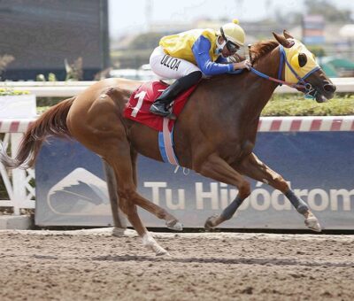 La Dietista, horses, Haras Convento Viejo, Clásico Agustín Gutiérrez Gutiérrez, sábado, 5 de marzo de 2022, Hipódromo Chile. Foto: Jaime Cortés