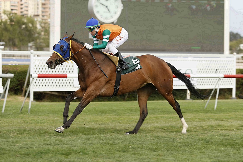 Nenúfar Azul, horse, Lookin At Lucky, Clásico Coronación Pablo Baraona Urzúa, domingo, 6 de marzo de 2022, Club Hípico de Santiago. Foto: Jaime Cortés