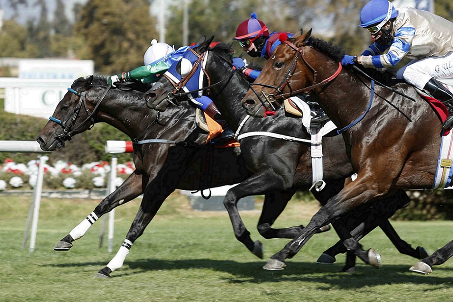 Pogbaa, horse, Stud Matriarca, Clásico Fuerza Área de Chile, viernes, 4 de marzo de 2022, Club Hípico de Santiago. Foto: Jaime Cortés
