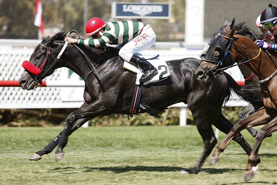Puerto Chico, horse, Shanghai Bobby, Clásico Carlos Abogabir Lama, lunes, 14 de marzo de 2022, Club Hípico de Santiago. Foto: Jaime Cortés