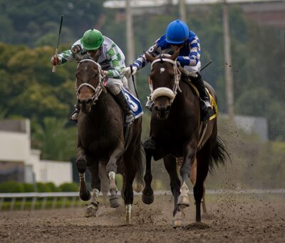 Rodin, horse, Diamante Negro, Clásico Dominciano, sábado, 2 de octubre de 2021, Hipódromo de Las Américas. Foto: Miguel Ángel Espinoza