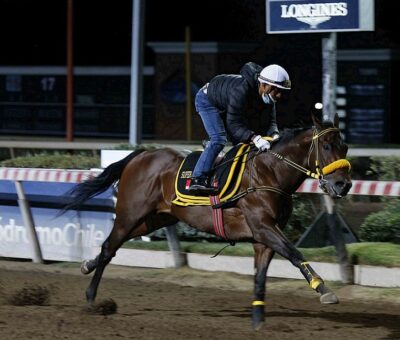 Súper Corinto, horse, Super Saver, trabajos, martes, 29 de marzo de 2022, Hipódromo de Chile. Foto: Jaime Cortés