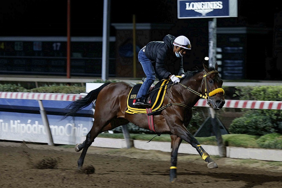 Súper Corinto, horse, Super Saver, trabajos, martes, 29 de marzo de 2022, Hipódromo de Chile. Foto: Jaime Cortés