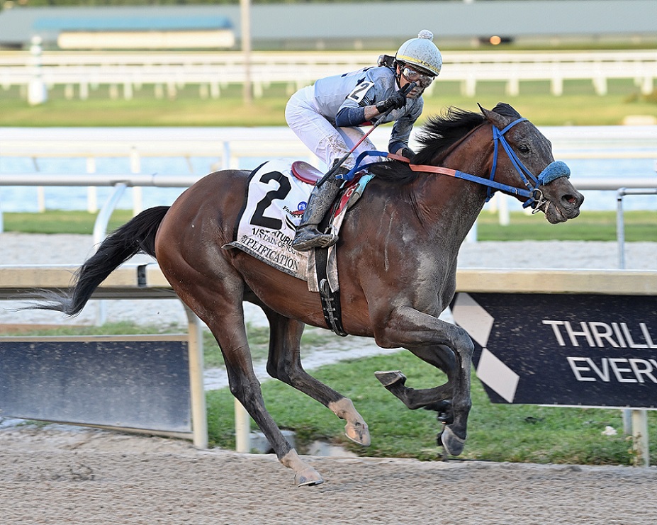Simplification, horse, Tami Bobo, Fountain Of Youth Stakes, sábado, 5 de marzo de 2022, Gulfstream Park. Foto: Coglaniese Photo