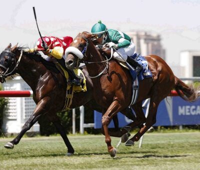 Succeso, horse, Midshipman, Clásico Verano Arturo Cousiño, lunes, 28 de febrero de 2022, Club Hípico de Santiago. Foto: Jaime Cortés