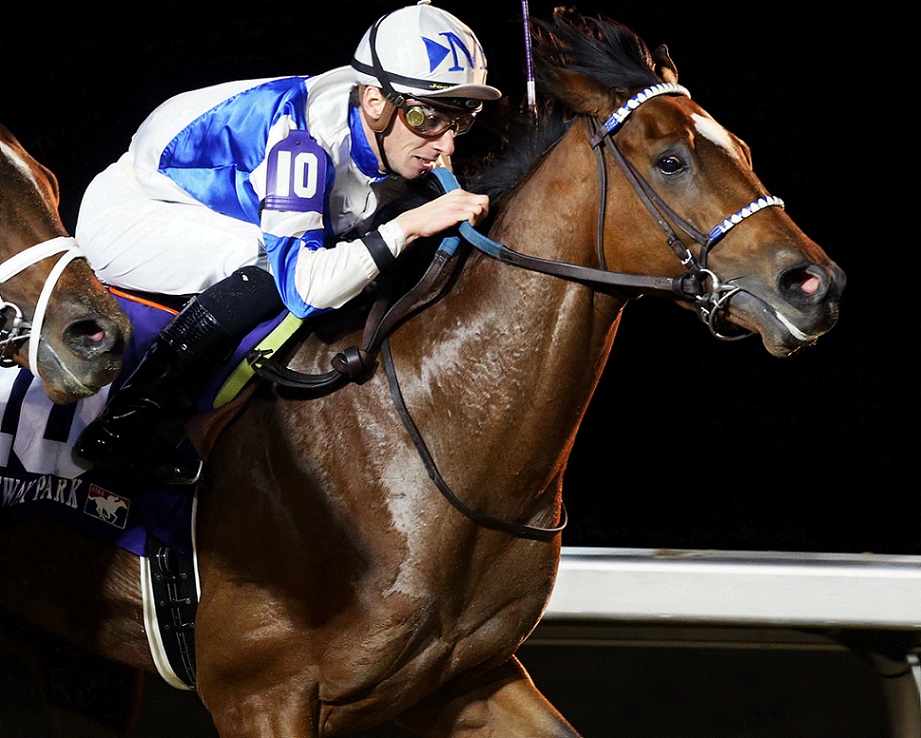 Tiz The Bomb, horse, Spendthrift Farm, John Battaglia Memorial Stakes, sábado, 5 de marzo de 2022, Turfway Park. Foto: Coady Photo