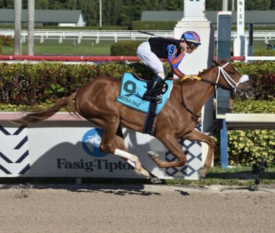 Tonalist´s Shape, horse, Tonalist, Davona Dale Stakes, sábado, 29 de febrero de 2020, Gulsftream Park. Foto: Coglianese Photo