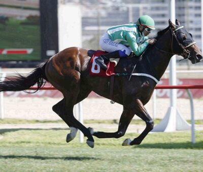 Zagat, horse, Zampano, Clásico Victory Roar, miércoles, 9 de marzo de 2022, Valparaíso Sporting Club. Foto: Jaime Cortés