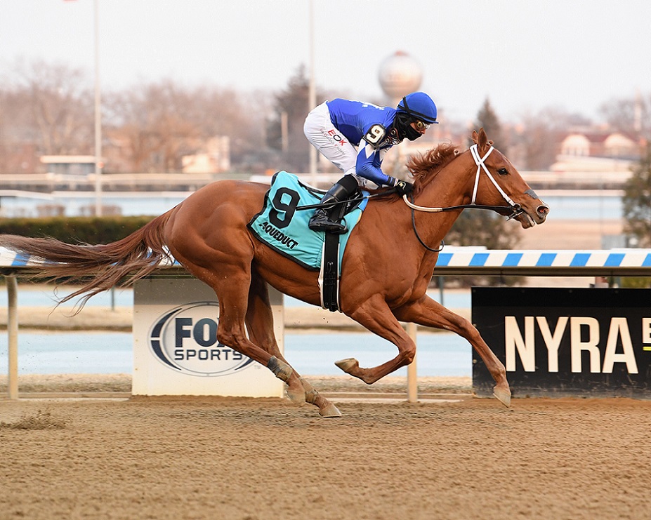 Morello, horse, Gun Runner, Gotham Stakes, sábado, 5 de marzo de 2022, Aqueduct. Foto: Coglaniese Photo & Chelsea Durand