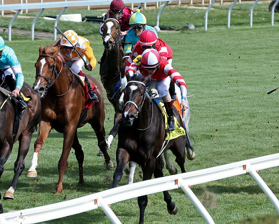 Camp Hope, horse, Summer Front, Allowance, miércoles, 21 de abril de 2022, Keeneland. Foto: Coady Photo