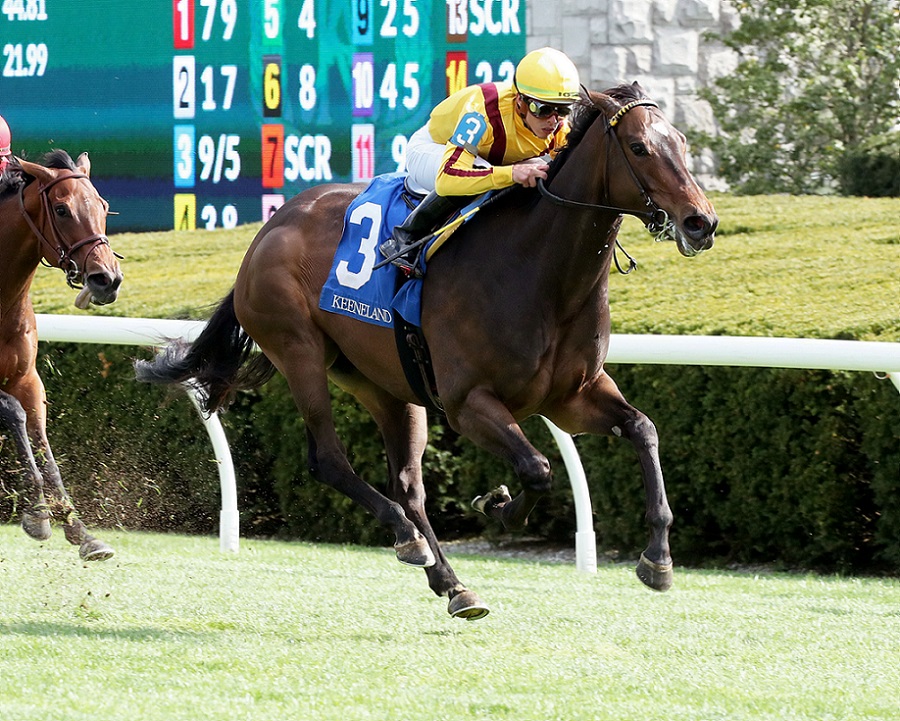 Campanelle, horse, Giant´s Causeway Stakes, TVG Limestone Stakes, sábado, 16 de abril de 2022, Keeneland. Foto: Coady Photography