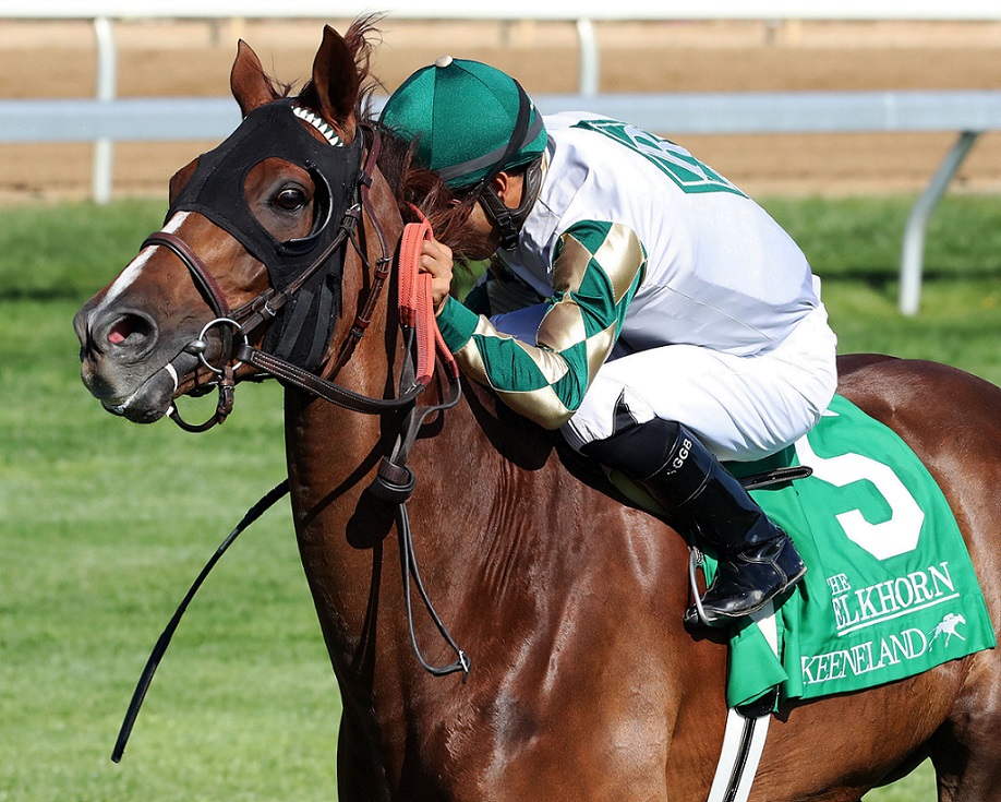 Channel Maker, horse, Reeves Throughbreed Racing, Elkhorn Stakes, sábado, 23 de abril de 2022, Keeneland. Foto: Coady Photography