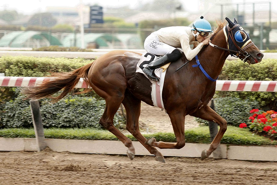 Hotel California, horse, Haras Porta Pía, Handicap, Hipódromo Chile, jueves, 21 de abril de 2022. Foto: Jaime Cortés