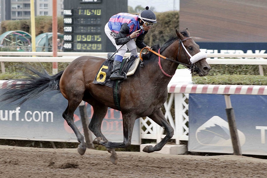 Mi Primo Juanjo, horse, Last Best Place, Clásico Camilo Rufín Franzoy, sábado, 19 de marzo de 2022, Hipódromo de Chile. Foto: Jaime Cortés