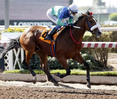 Mischelof, horse, Stud Matriarca, Condicional, jueves, 7 de abril de 2022, Hipódromo Chile. Foto: Jaime Cortés