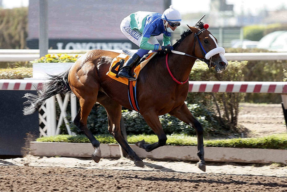 Mischelof, horse, Stud Matriarca, Condicional, jueves, 7 de abril de 2022, Hipódromo Chile. Foto: Jaime Cortés