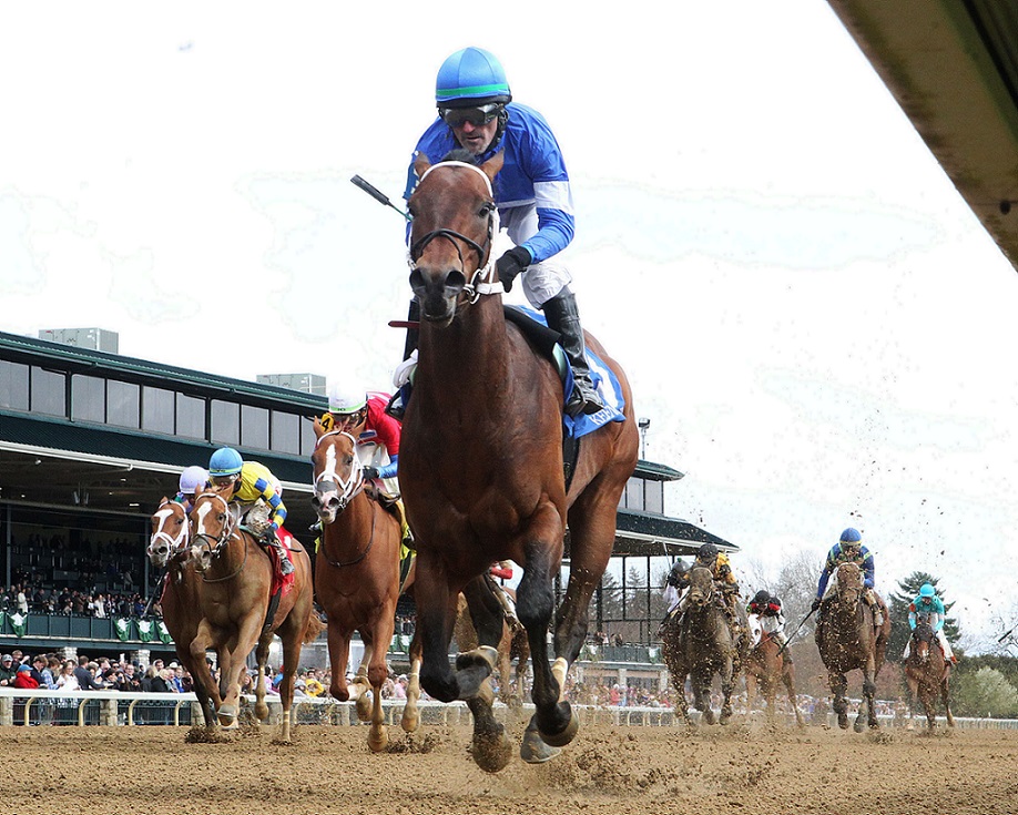 Old Hormestead, horse, Overanalyze, Lafayette Stakes, viernes, 8 de abril de 2022, Keeneland. Foto: Coady Photo