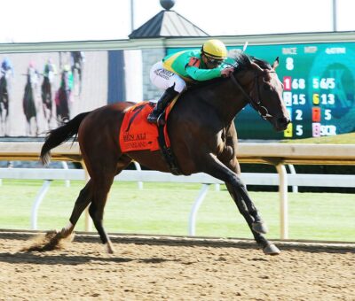 Scalding, horse, Nyquist, Ben Ali Stakes, sábado, 23 de abril de 2022, Keeneland. Foto: Coady Photography