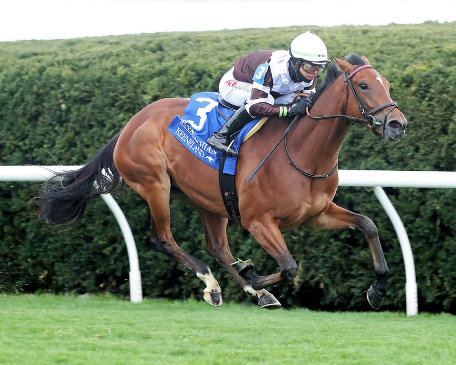 Spendarella, horse, Karakontie, Appalachian Stakes, sábado, 9 de abril de 2022, Keeneland. Foto: Coady Photo