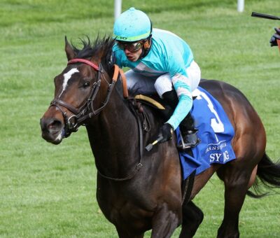 Sy Dog, horse, Madaket Stable, Transylvania Stakes, viernes, 8 de abril de 2022, Keeneland. Foto: Coady Photo