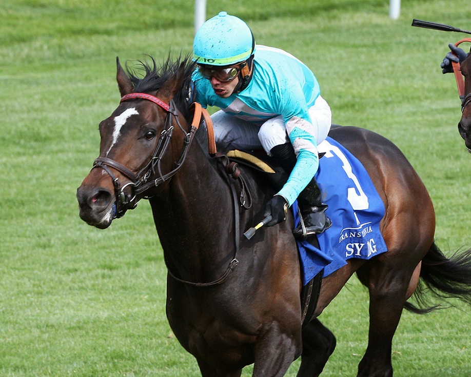 Sy Dog, horse, Madaket Stable, Transylvania Stakes, viernes, 8 de abril de 2022, Keeneland. Foto: Coady Photo