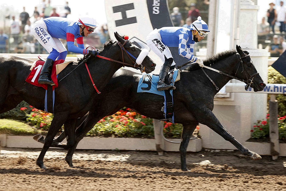 Siempre Conmigo, horse, Haras Santa Marta, Clásico Ignacio Urrutia De La Sotta e Ignacio Urrutia Del Río, sábado, 2 de abril de 2022, Hipódromo de Chile. Foto: Jaime Cortés
