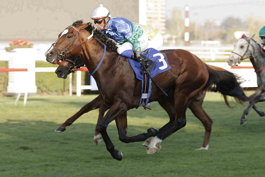 Snooker, horse, Haras Matriarca, Clásico Carlos Cousiño, viernes 29 de abril de 2022, Club Hípico de Santiago. Foto: Jaime Cortés