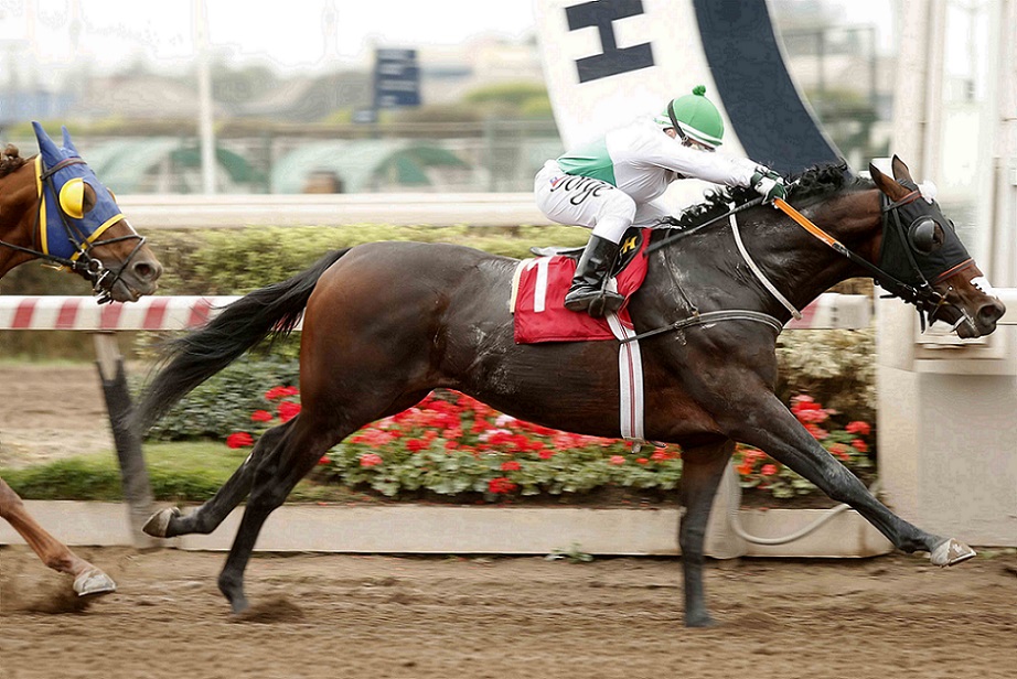 Stranger Things, horse, Haras Don Alberto, Clásico Carabineros de Chile, sábado, 2 de abril de 2022, Hipódromo de Chile. Foto: Jaime Cortés