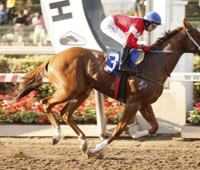 Uli El Luchador, horse, Fergocira, Clásico Raúl Spoerer Carmona y Raúl Spoerer Urrutia, sábado, 23 de abril de 2022, Hipódromo de Chile. Foto: Jaime Cortés