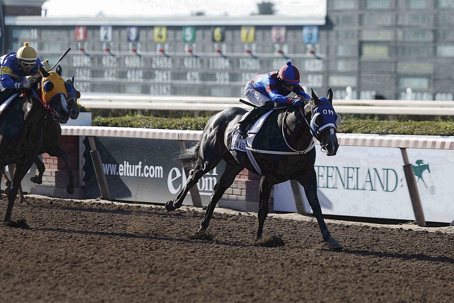 Vivir Con Alegría, horse, Haras Viejo Perro, Longines Cup Fernando Moller Bordeu, jueves, 2 de abril de 2022, Hipódromo de Chile. Foto: Jaime Cortés