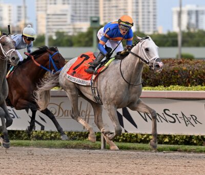 White Abarrio, horse, Spendthrift Farm, Curlin Florida Derby, sábado, 2 de abrilde 2022, Gulfstream Park. Foto: Coglaniese Photo