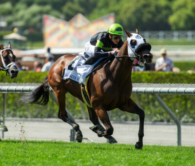 Count Again, Horses, Awesome Again, Shoemaker Mile Stakes, lunes, 30 de mayo de 2022, Santa Anita Park. Foto: Benoit Photo
