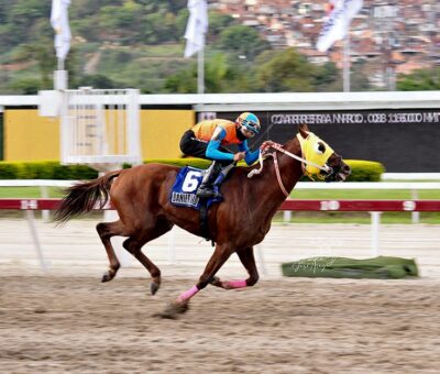 Danierold, horse, Haras Urama, Clásico Juan Arias, domingo, 15 de mayo de 2022, La Rinconada. Foto: José Antonio Aray