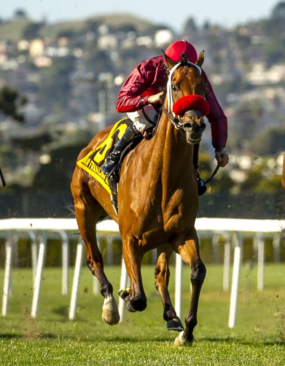 Evening Sun, Horses, Muhaarar, San Francisco Mile Stakes, sábado, 30 de abril de 2022, Golden Gate Fields. Foto: Vassar Photography