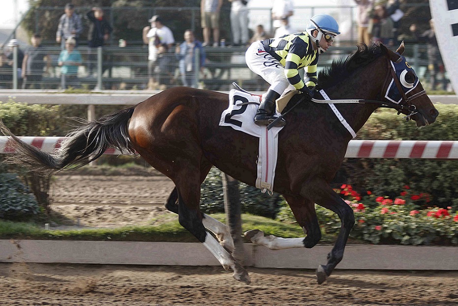 El Egipcio, horse, Haras Carioca, Clásico Jorge Inda Guzmán, sábado, 21 de mayo de 2022, Hipódromo de Chile. Foto: Jaime Cortés