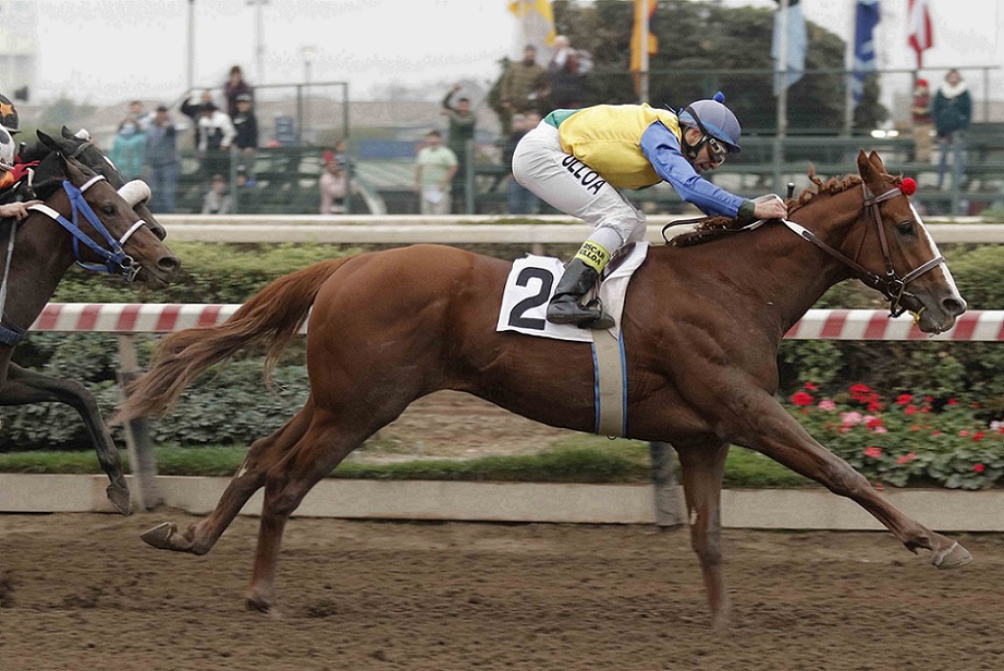 El Oriente, horse, Practical Joke, Clásico Gran Premio Criadores Eugenio Zegers León, sábado, 28 de mayo de 2022, Hipódromo de Chile. Foto: Jaime Cortés